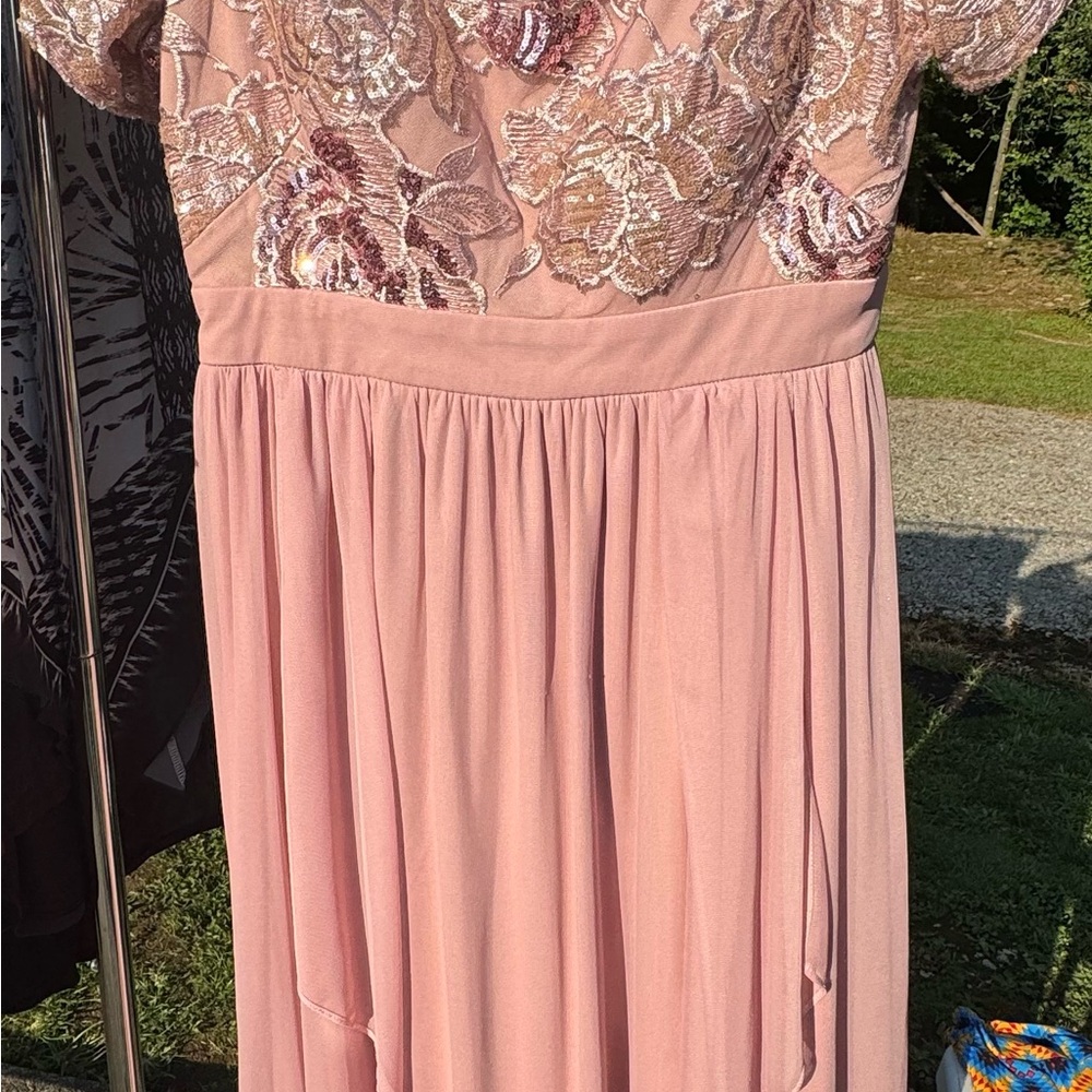 R&M Richards Blush Lace Maxi Dress
